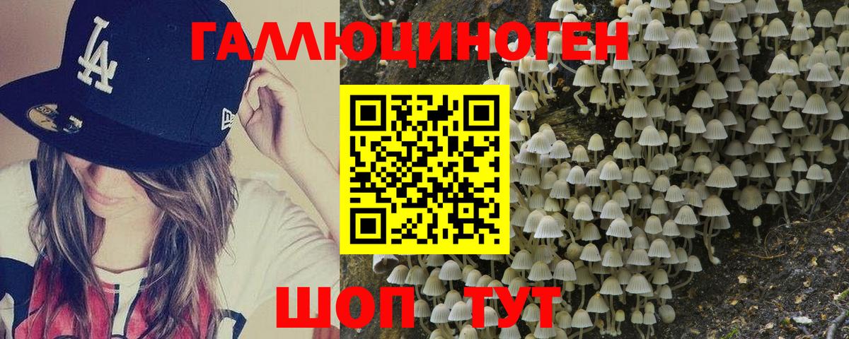 Тара  даркнет сайт  Вход с VPN  Псилоцибиновые грибы MAGIC MUSHROOMS 